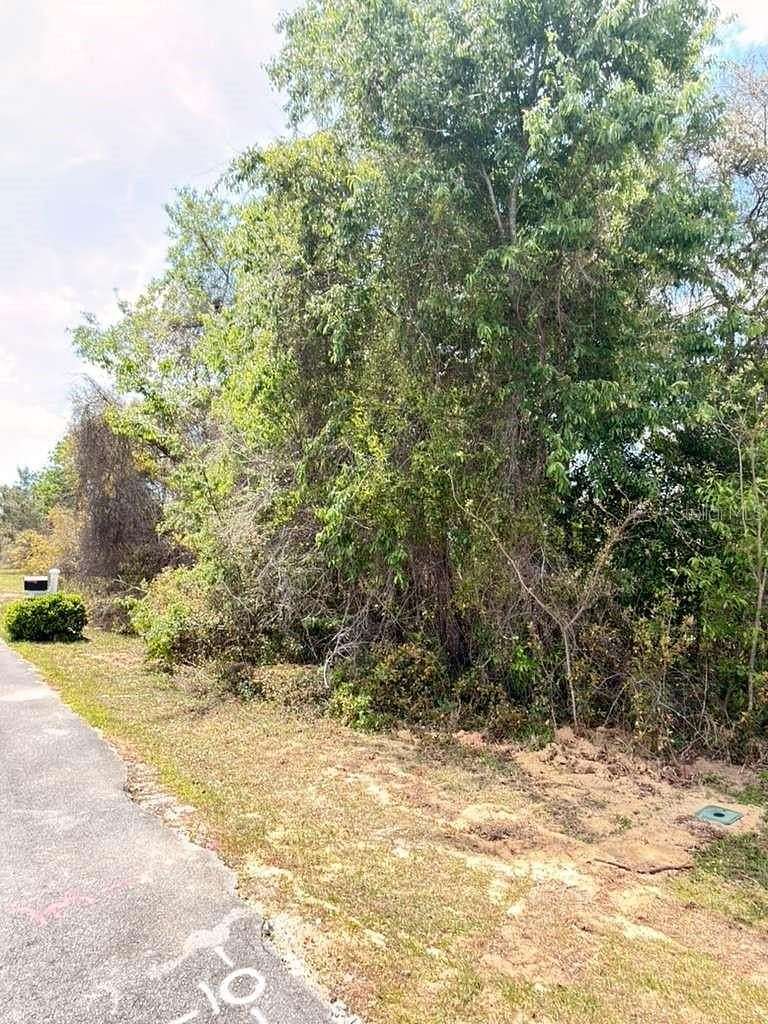 0.24 Acres of Residential Land for Sale in Ocala, Florida