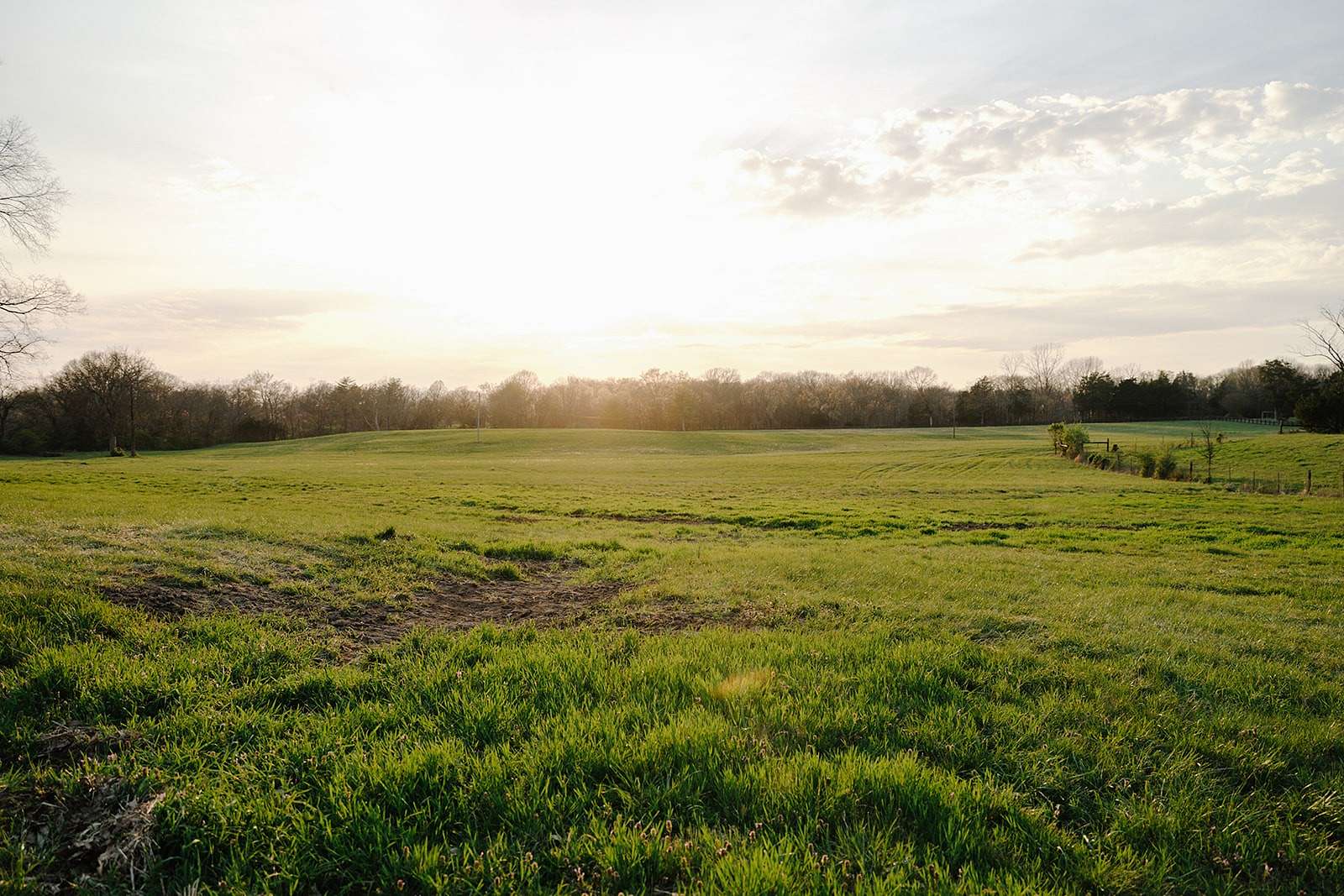 119 Acres of Land for Sale in Franklin, Tennessee