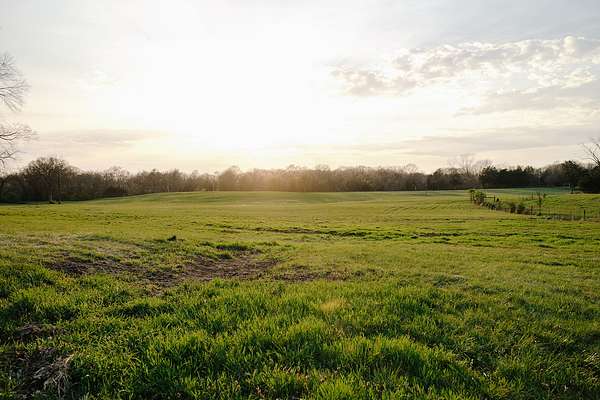 119 Acres of Land for Sale in Franklin, Tennessee