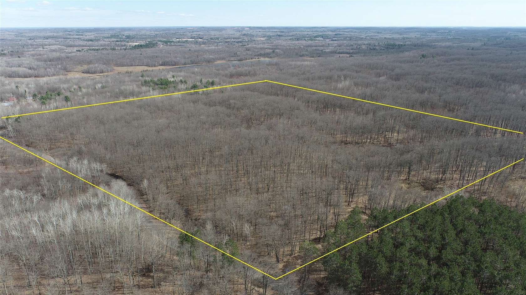 40 Acres of Recreational Land for Sale in New Auburn, Wisconsin