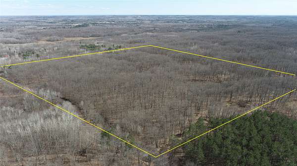 40 Acres of Recreational Land for Sale in New Auburn, Wisconsin