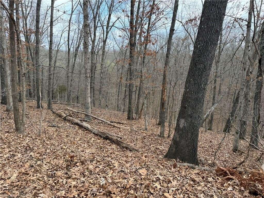 0.43 Acres of Residential Land for Sale in Bella Vista, Arkansas