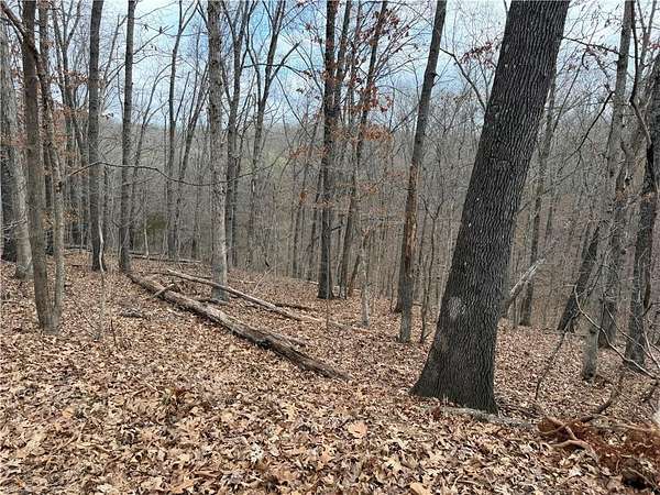 0.43 Acres of Residential Land for Sale in Bella Vista, Arkansas