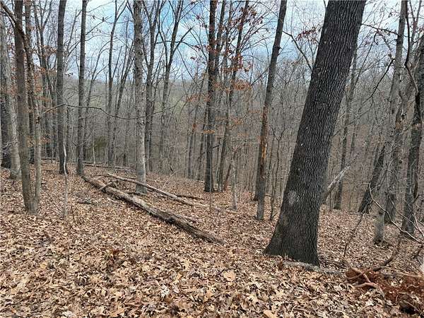 0.43 Acres of Residential Land for Sale in Bella Vista, Arkansas
