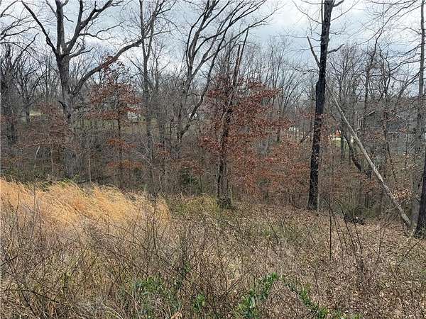 0.29 Acres of Land for Sale in Bella Vista, Arkansas