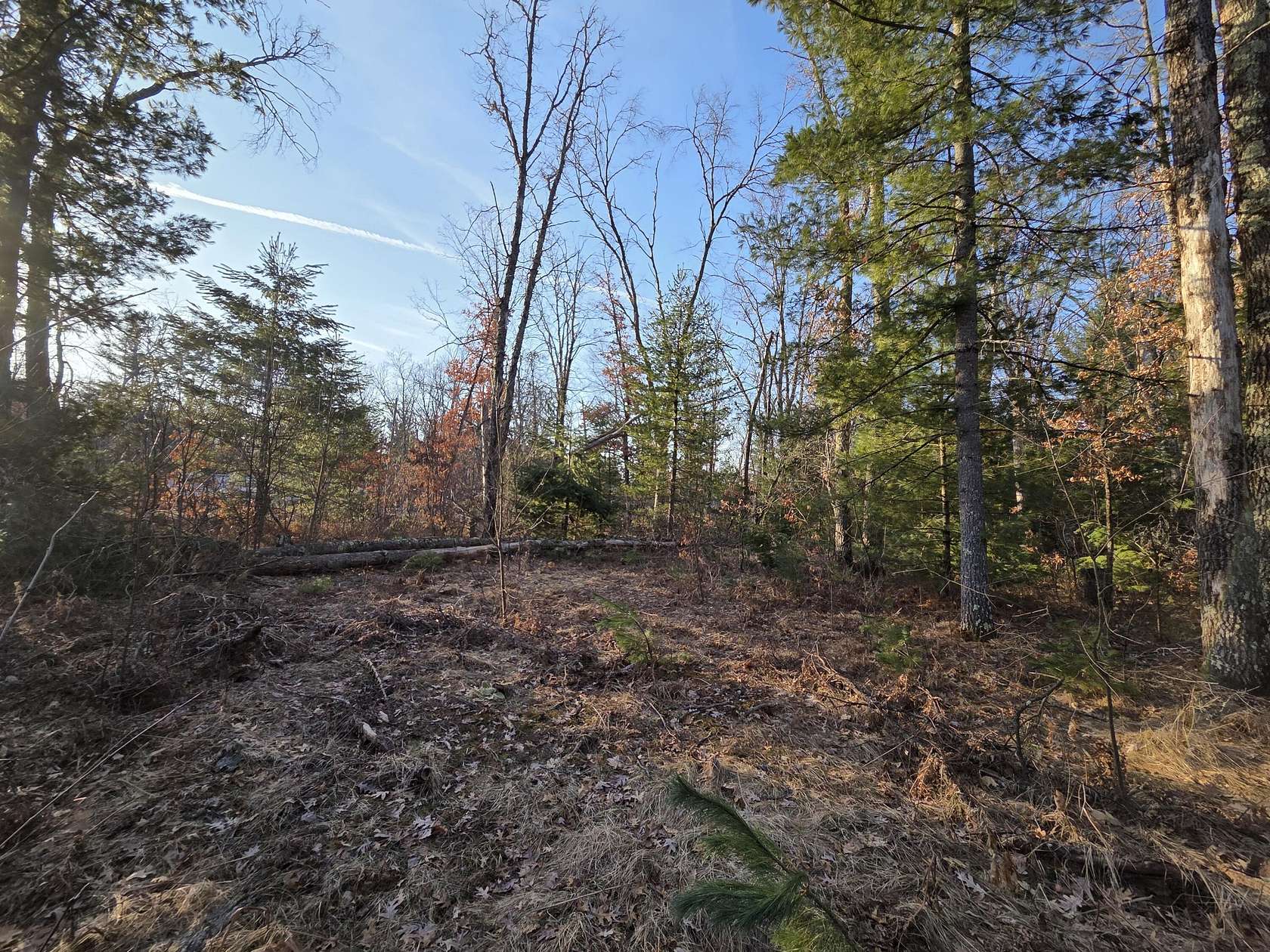 0.35 Acres of Land for Sale in Baldwin, Michigan