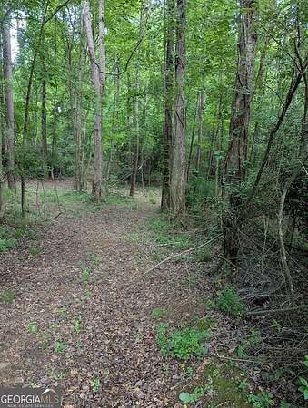 4.2 Acres of Residential Land for Sale in Ellenwood, Georgia