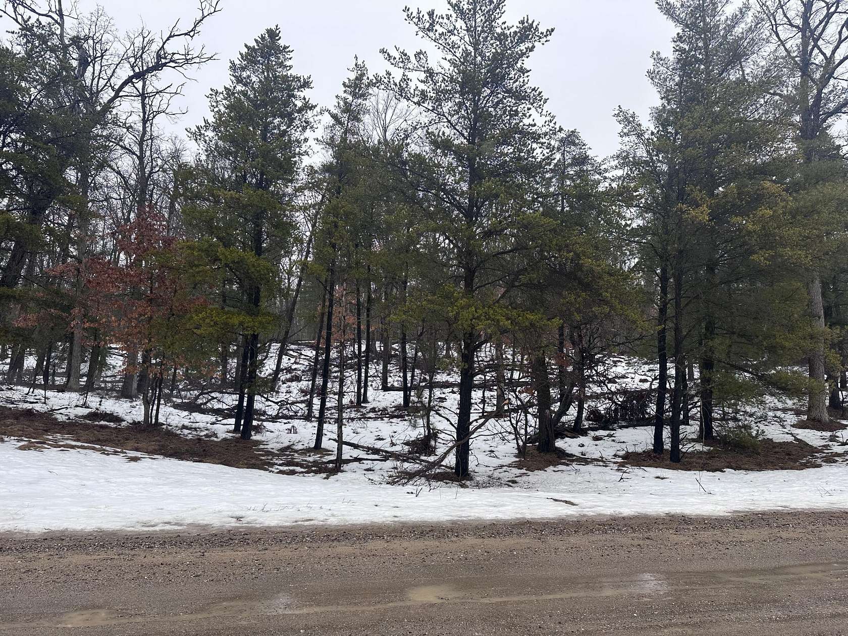 1.68 Acres of Land for Sale in Rose City, Michigan