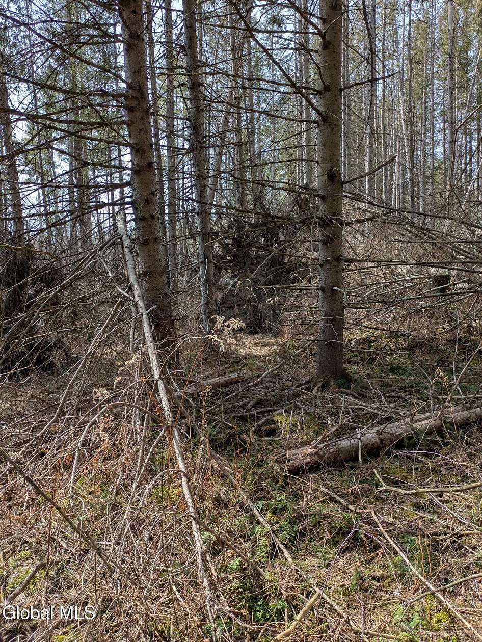 5 Acres of Land for Sale in Petersburgh Town, New York