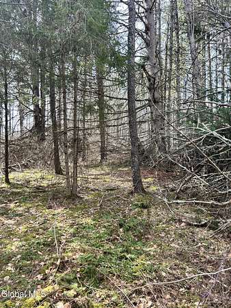 5 Acres of Land for Sale in Petersburgh Town, New York