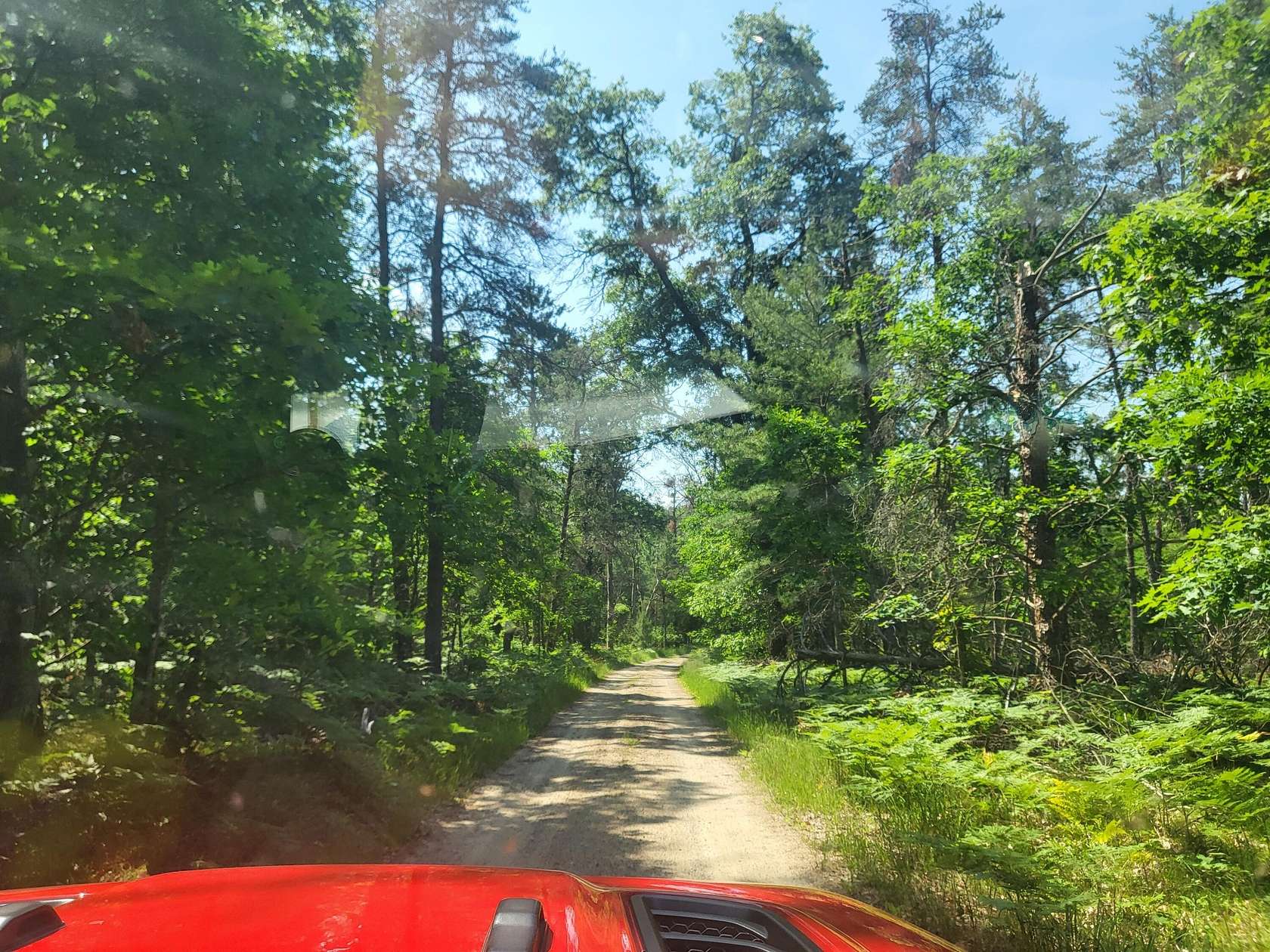 15 Acres of Recreational Land for Sale in Grayling, Michigan