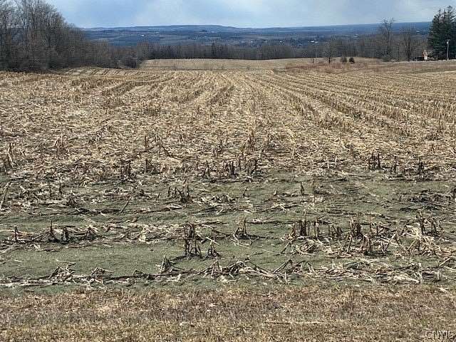 3.8 Acres of Land for Sale in Kirkland, New York