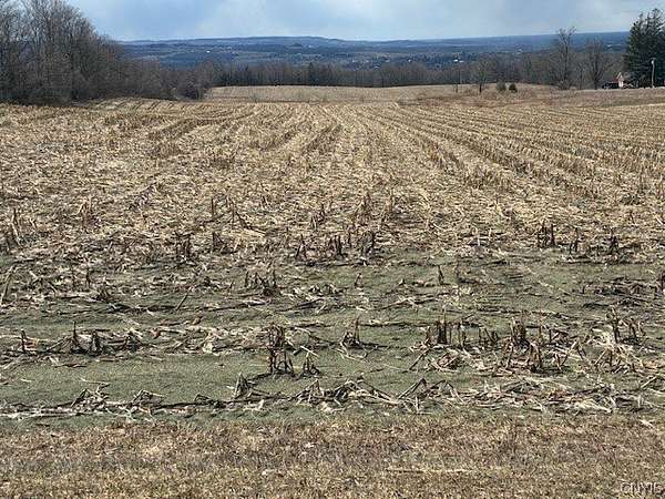 3.8 Acres of Land for Sale in Kirkland, New York