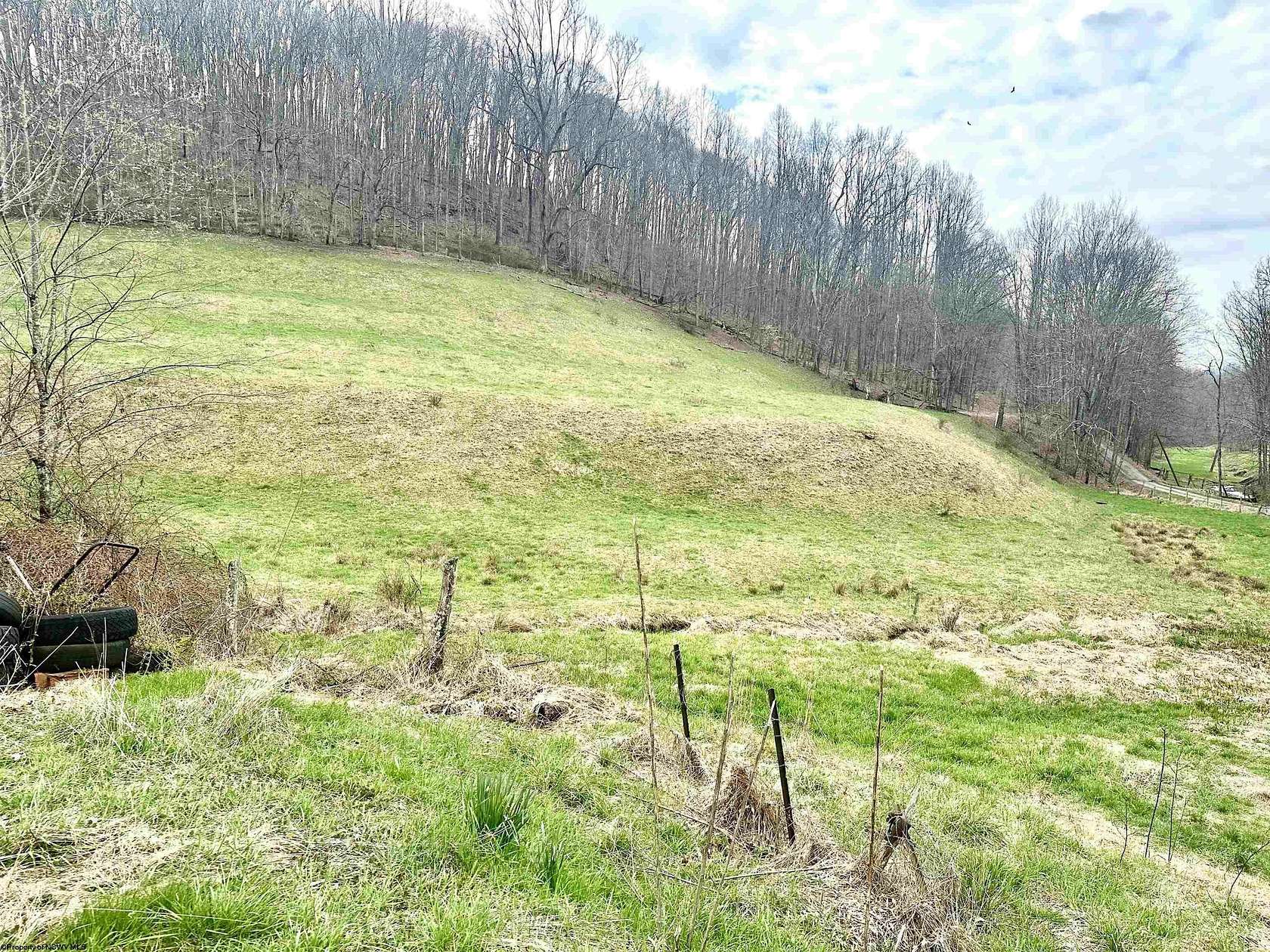 116 Acres of Land for Sale in Jane Lew, West Virginia