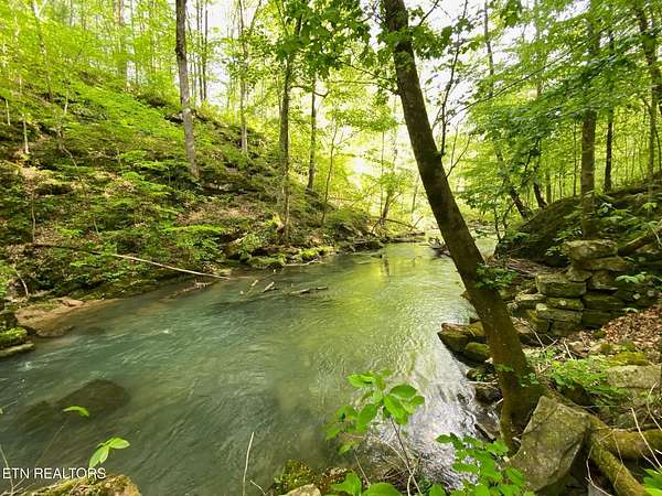 150 Acres of Recreational & Residential Land for Sale in Pikeville, Tennessee