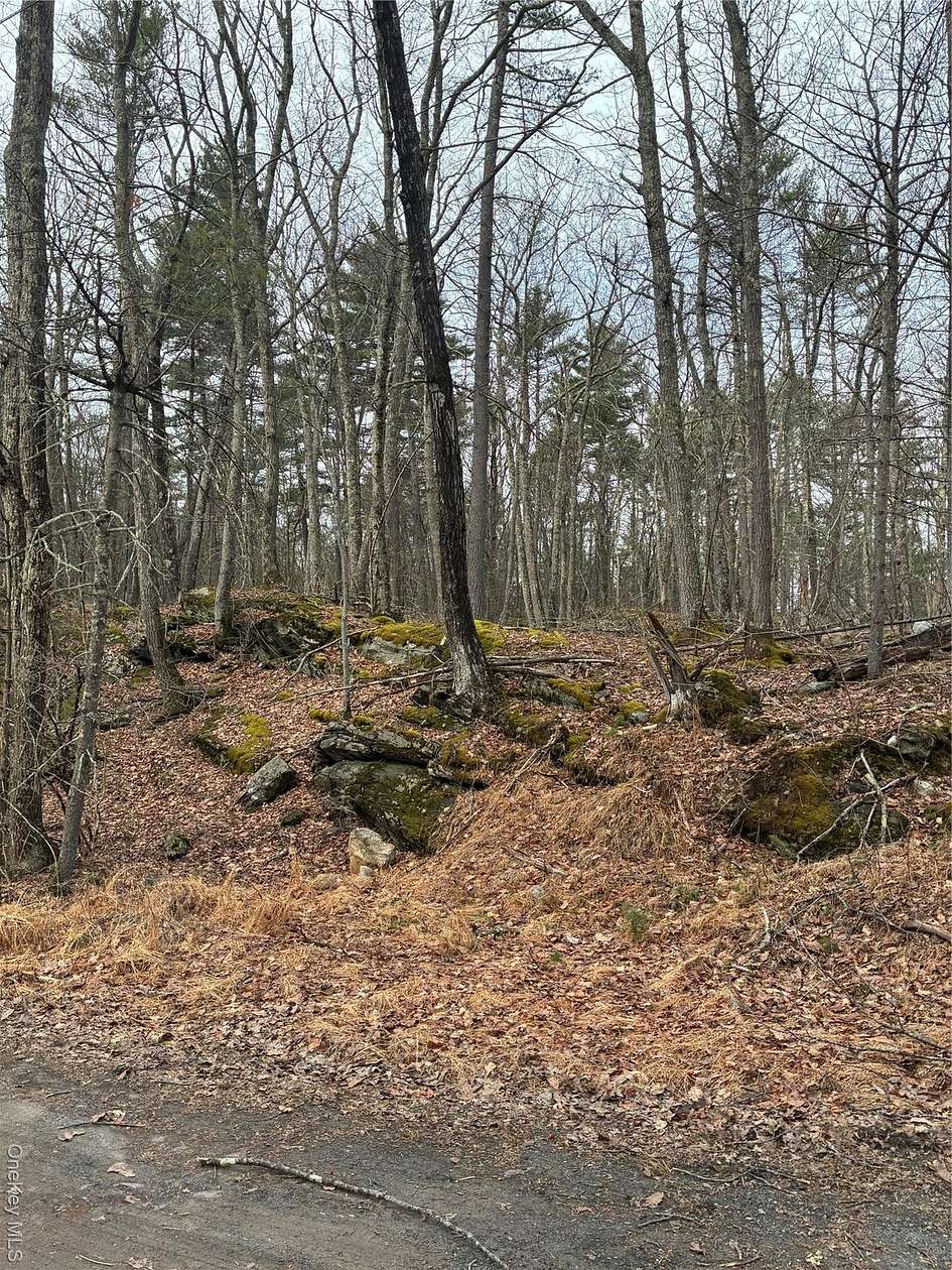 2.75 Acres of Residential Land for Sale in Wurtsboro, New York