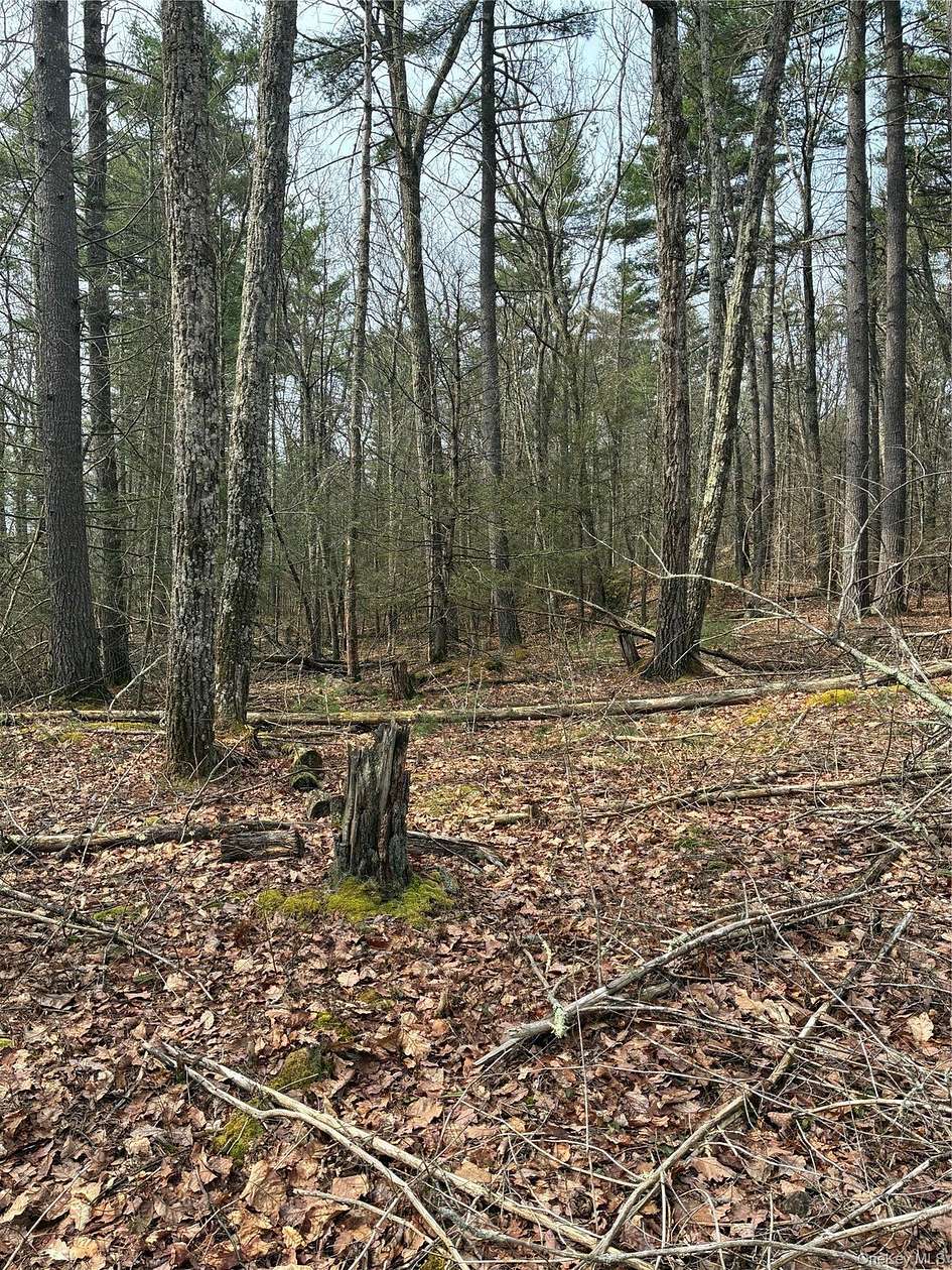 2.75 Acres of Residential Land for Sale in Wurtsboro, New York