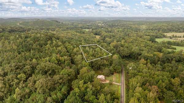 16 Acres of Recreational & Residential Land for Sale in Fayette, Alabama