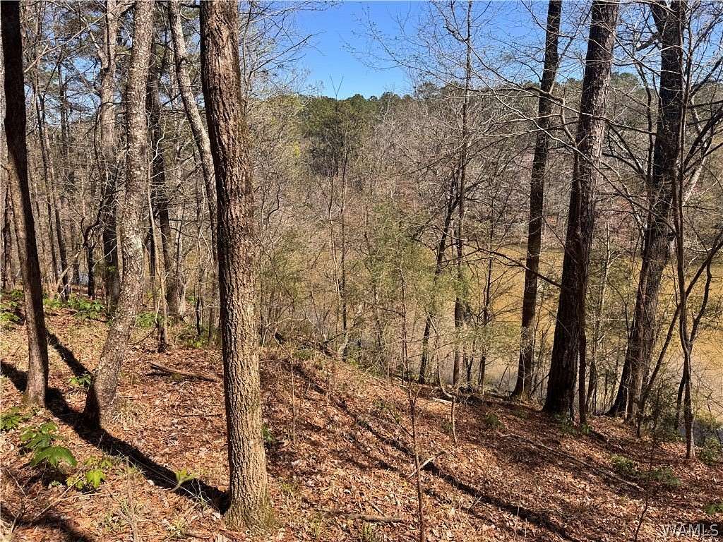 42.4 Acres of Recreational Land for Sale in Northport, Alabama
