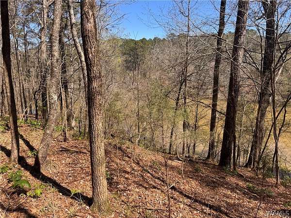 42.4 Acres of Recreational Land for Sale in Northport, Alabama