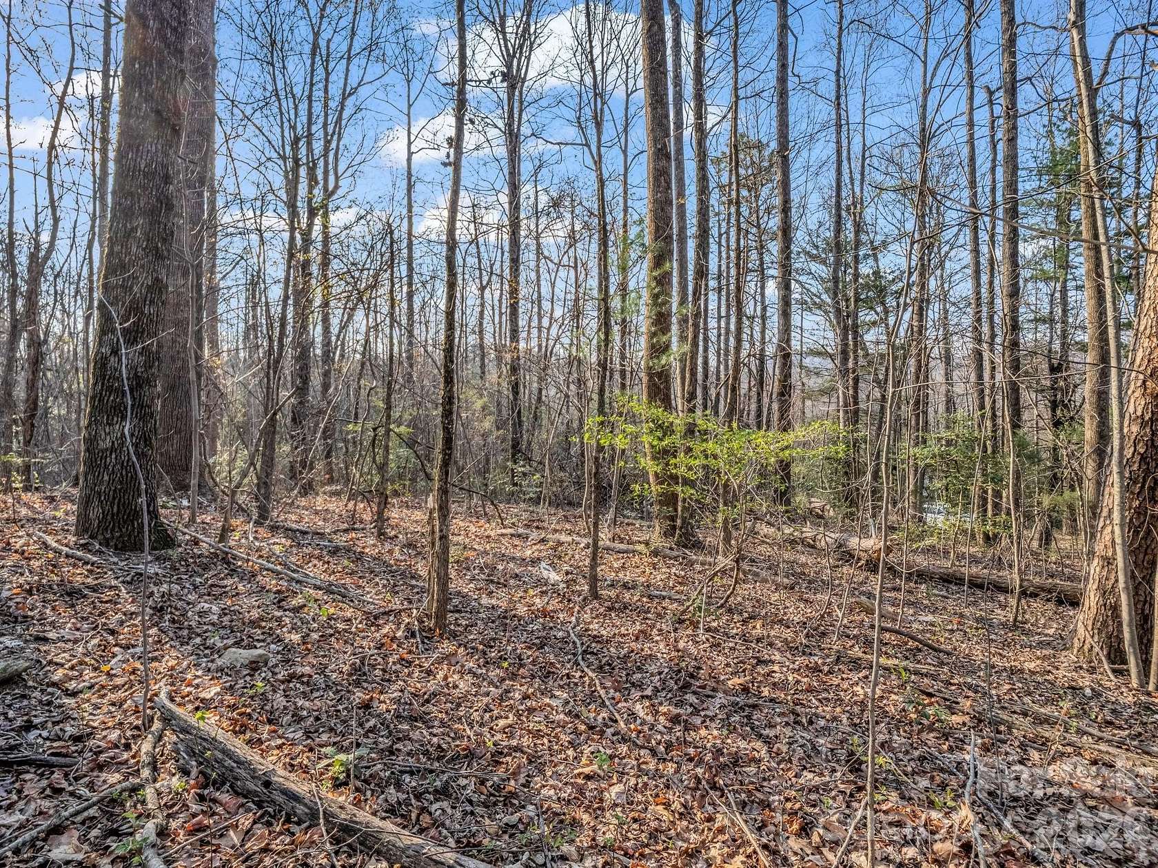 1.52 Acres of Residential Land for Sale in Tryon, North Carolina