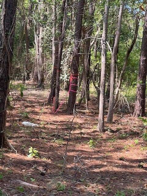 0.83 Acres of Residential Land for Sale in Mount Pleasant, South Carolina