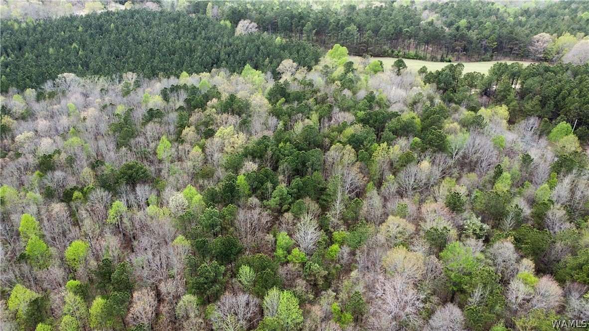 26.5 Acres of Land for Sale in Guin, Alabama