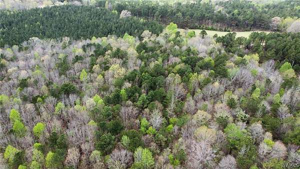 26.5 Acres of Land for Sale in Guin, Alabama