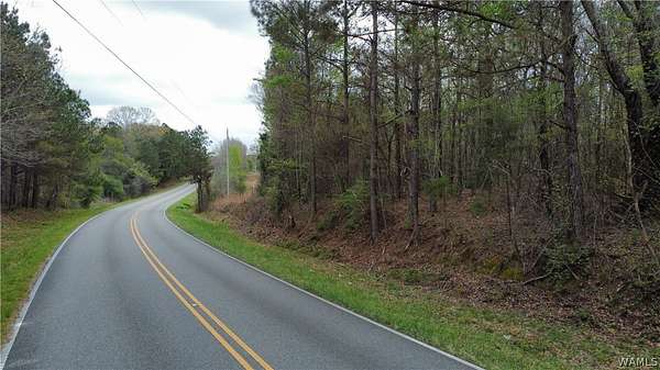 32.5 Acres of Recreational & Residential Land for Sale in Guin, Alabama