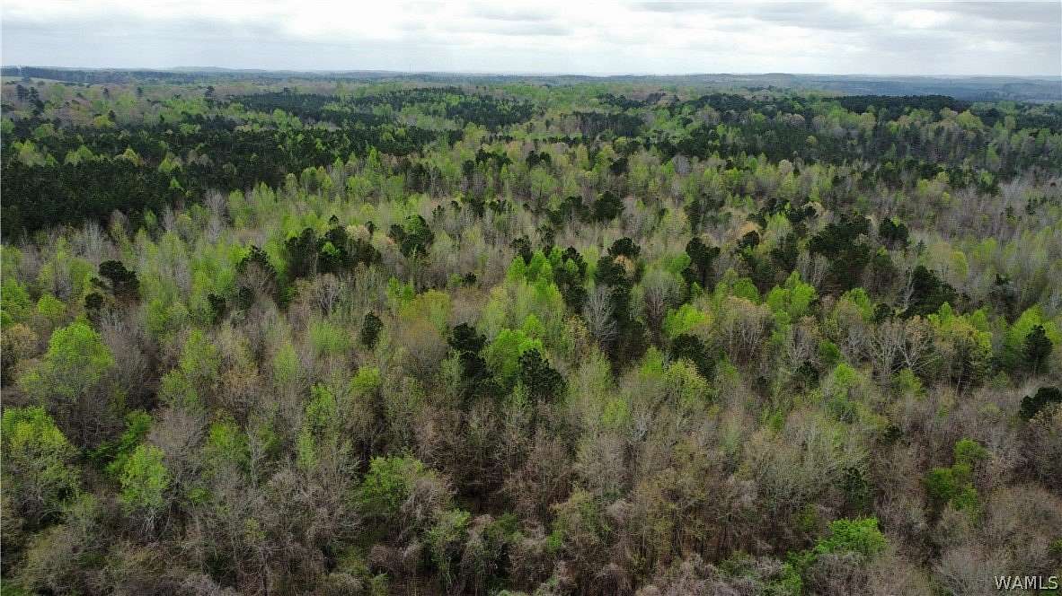 30 Acres of Recreational & Residential Land for Sale in Guin, Alabama