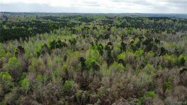 30 Acres of Recreational & Residential Land for Sale in Guin, Alabama