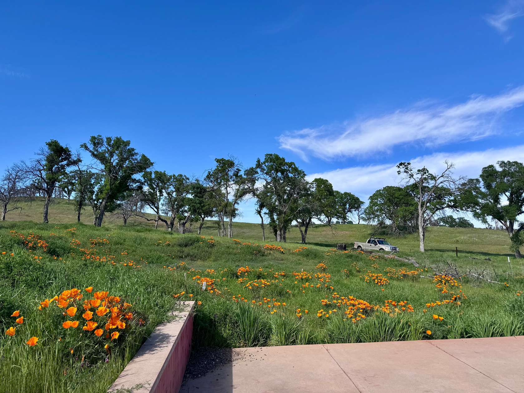 20.4 Acres of Agricultural & Residential Land for Sale in Winters, California