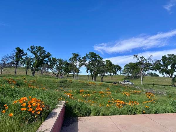 20.4 Acres of Agricultural & Residential Land for Sale in Winters, California