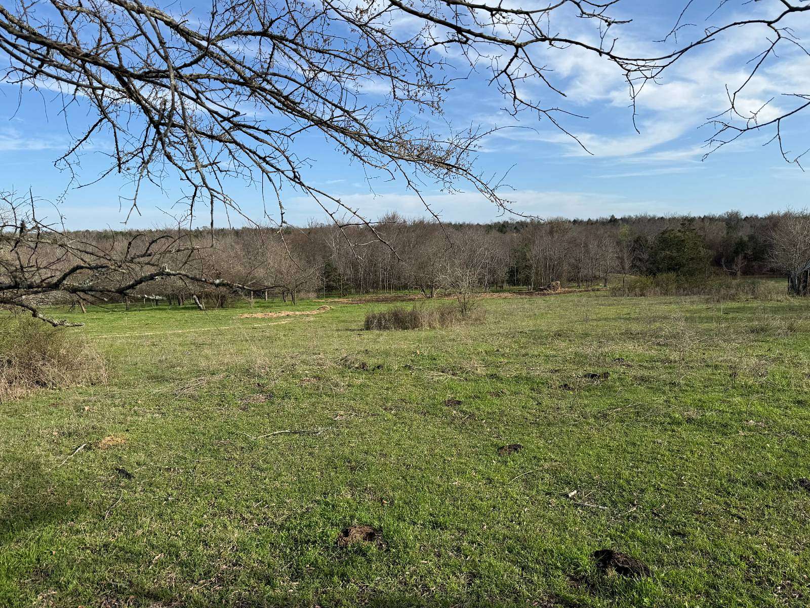 40 Acres of Land for Sale in Rattan, Oklahoma