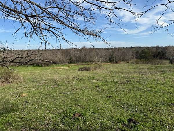 40 Acres of Land for Sale in Rattan, Oklahoma