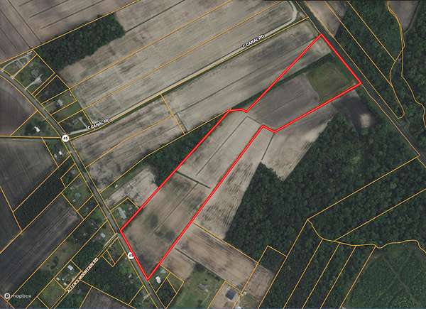 26 Acres of Land for Sale in Pantego, North Carolina