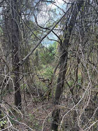 2 Acres of Commercial Land for Sale in De Kalb, Texas