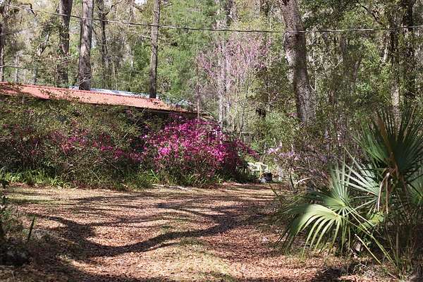 5 Acres of Land with Home for Sale in Old Town, Florida