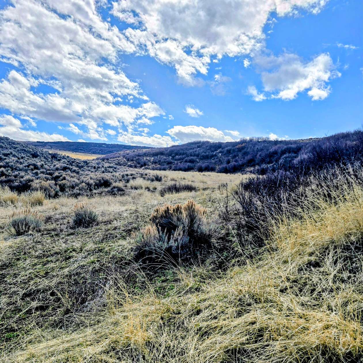 1,768 Acres of Recreational Land for Sale in Hayden, Colorado