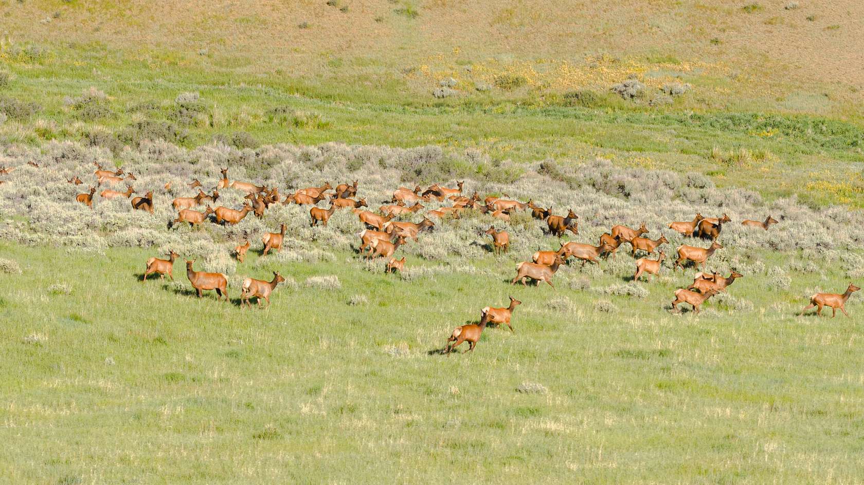 1,768 Acres of Recreational Land for Sale in Hayden, Colorado