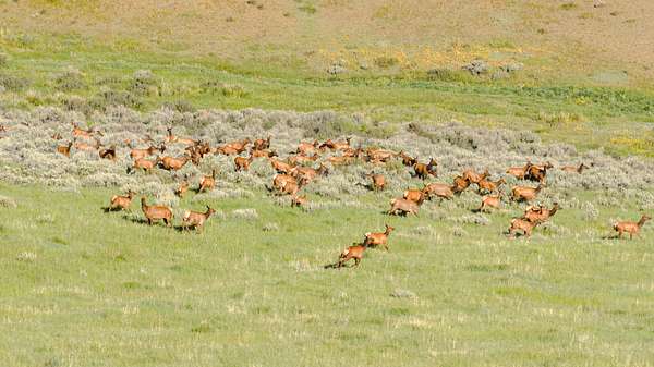 1,768 Acres of Recreational Land for Sale in Hayden, Colorado
