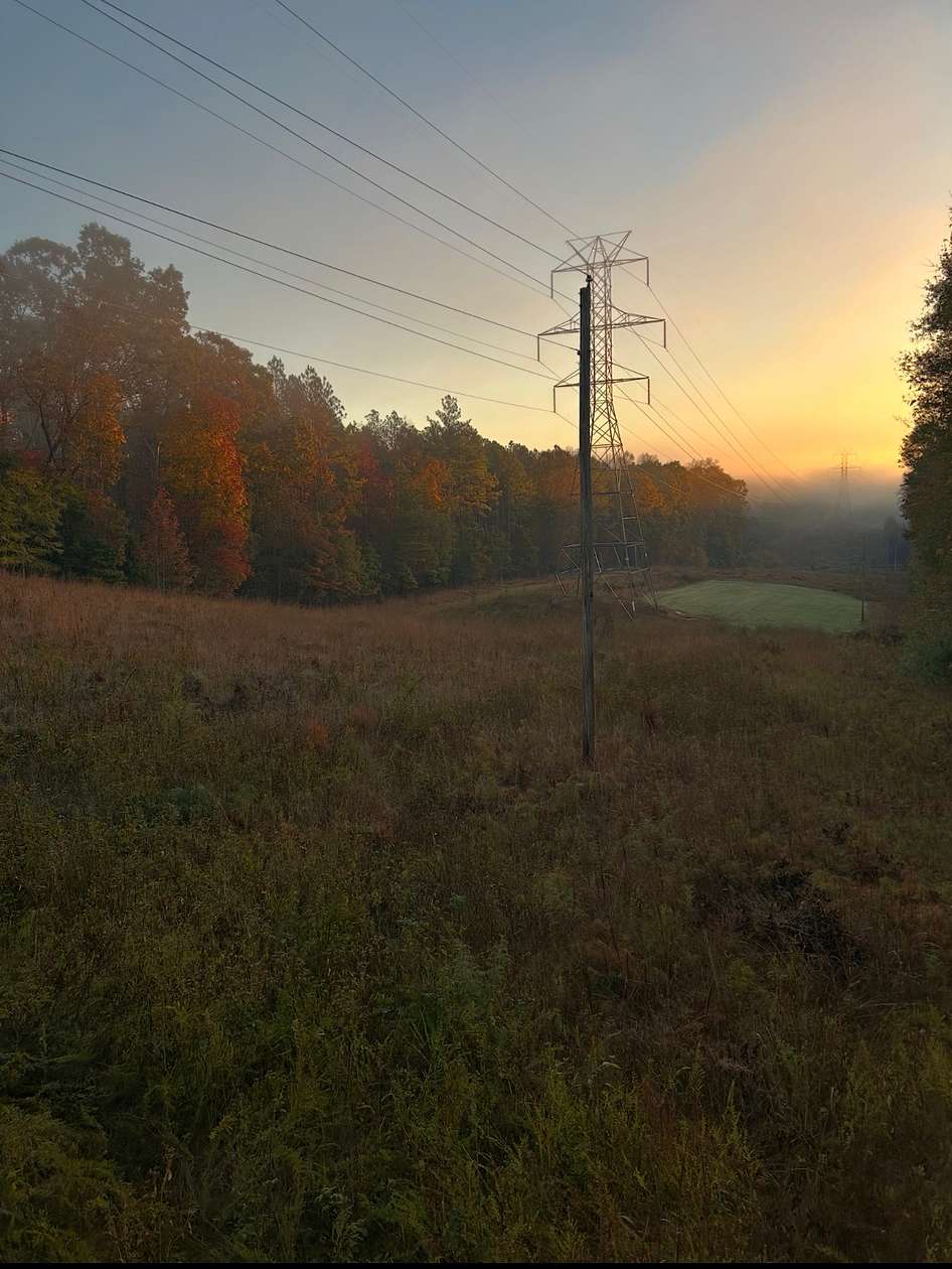 167 Acres of Land for Sale in Pauline, South Carolina