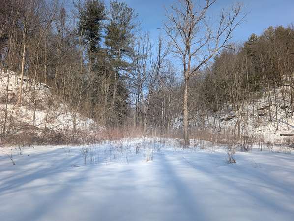 138 Acres of Land for Auction in Alledonia, Ohio