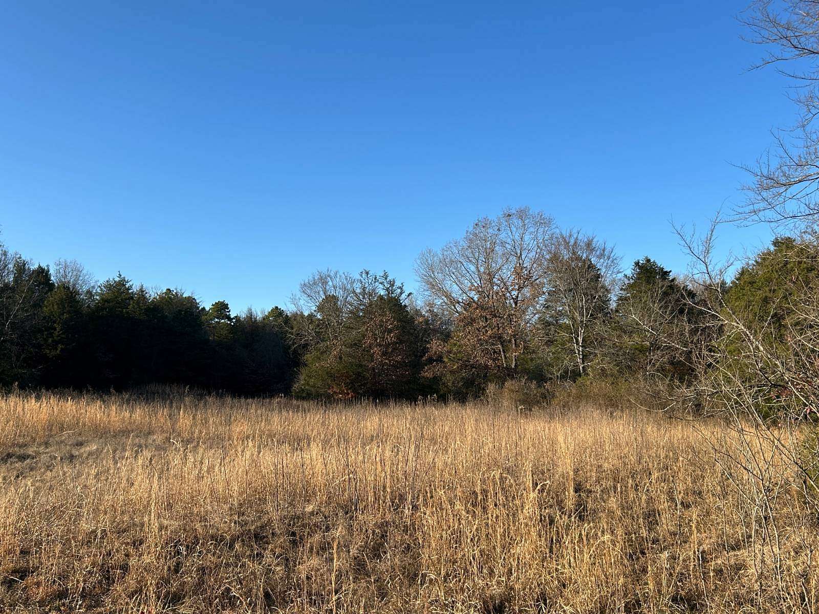 25 Acres of Recreational & Residential Land for Sale in Ozark, Arkansas