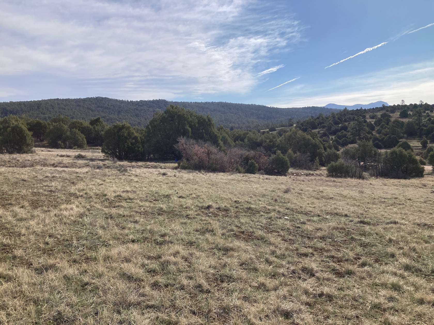 2.52 Acres of Residential Land for Sale in Chama, New Mexico