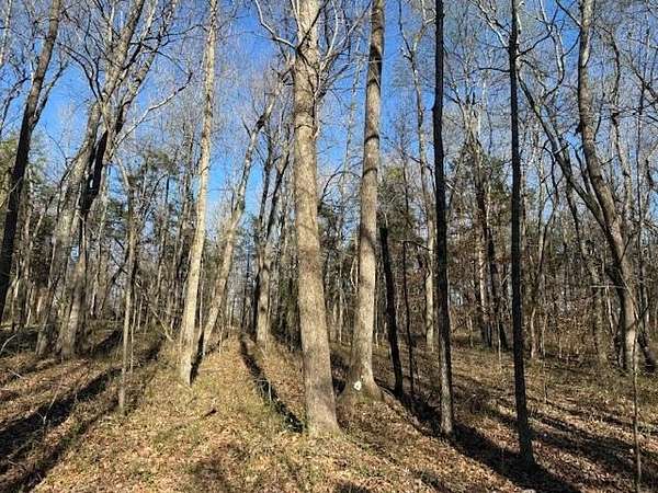 3 Acres of Land for Sale in McMinnville, Tennessee