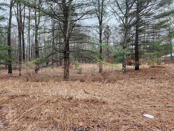0.91 Acres of Land for Sale in Lake, Michigan