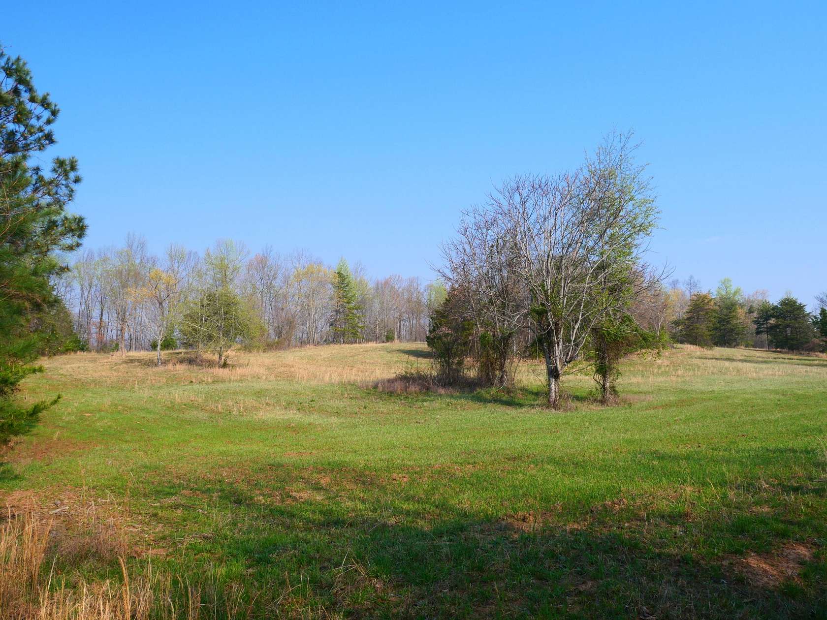 365 Acres of Recreational Land for Sale in Bakewell, Tennessee