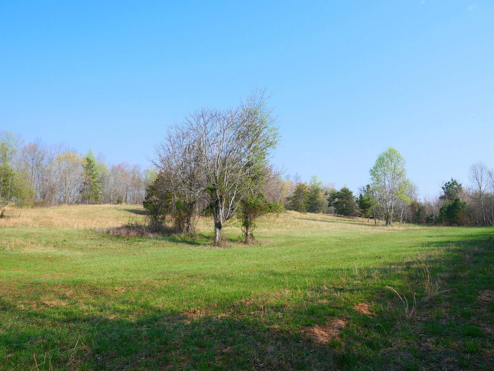 365 Acres of Recreational Land for Sale in Bakewell, Tennessee