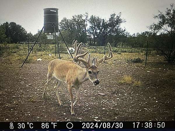 24 Acres of Land for Sale in Eldorado, Texas